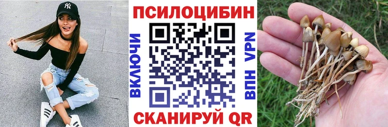 Галлюциногенные грибы прущие грибы  Гороховец 